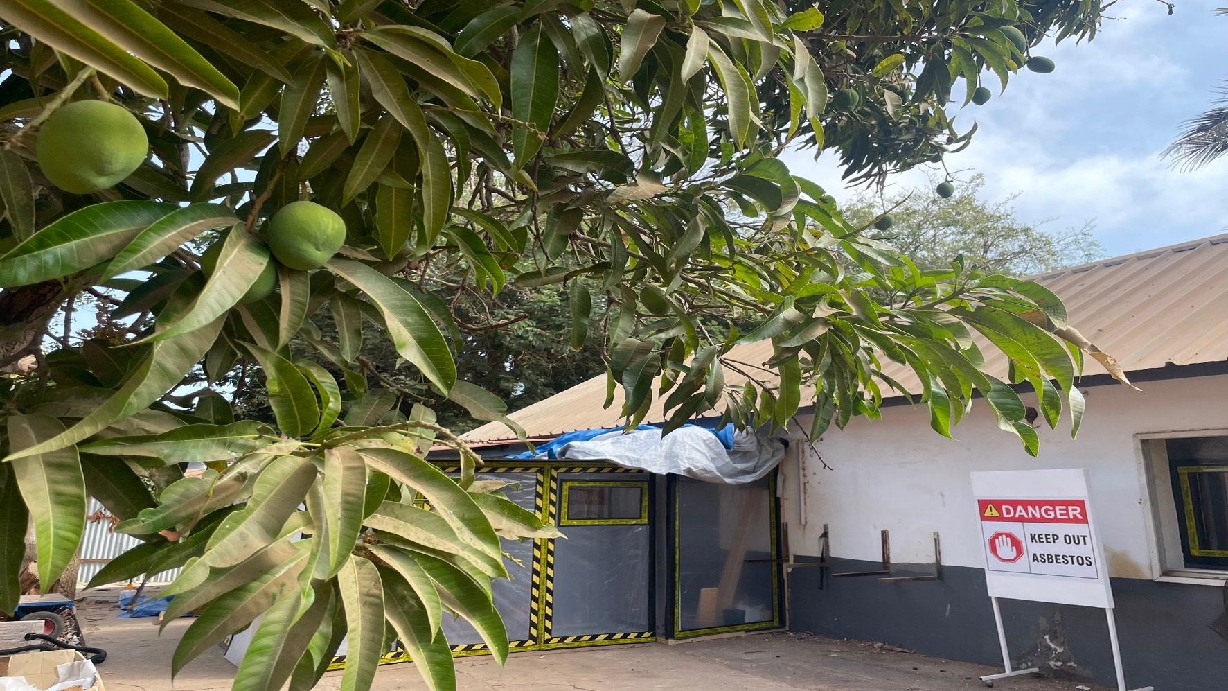 The London School of Hygiene and Tropical Medicine 
